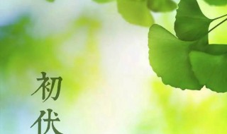 2021什么是三伏天 2021年三伏天是什么