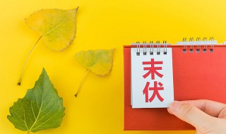 2021三伏天是什么意思 2021年的3伏天是什么时候