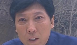 一双绣花鞋剧情简介 一只绣花鞋故事简介