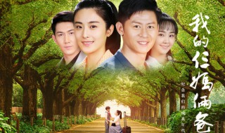 我的三妈俩爸剧情简介（我的三妈俩爸剧情简介）