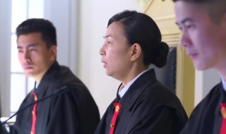 金牌律师剧情简介（金牌律师剧情简介分集）