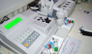 bod是什么意思（body是什么意思英语怎么读音）