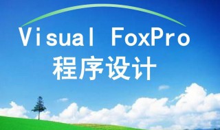 vf是什么意思（vd是什么意思）