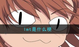 lmt是什么意思