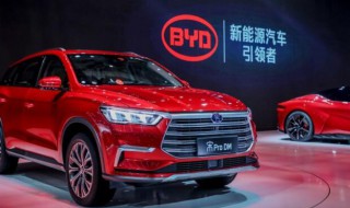 比亚迪公司简介 比亚迪公司是国企还是私企