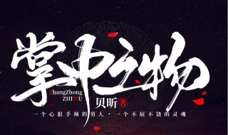 掌中之物小说简介（小说掌中之物）