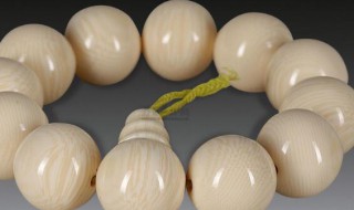 什么属相不能佩戴象牙（真品虎牙多少钱一颗）