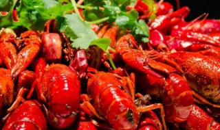 小龙虾的头到底能不能吃（小龙虾的头到底能不能吃掉）
