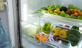 鼠曲草存放冰箱需要注意什么 鼠曲草放冰箱冷冻一年后还能吃吗