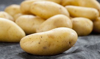 发芽的土豆能不能吃 发芽的土豆能不能吃,为什么?