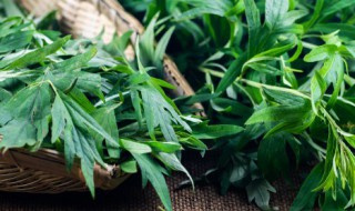 什么人不能用艾草枕头 什么人不能用艾草枕头上热敷多长时间算一个疗程