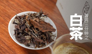 寿眉白茶简介（寿眉是什么档次的茶）