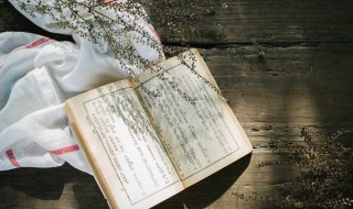 上古小说简介 上古小说大致内容