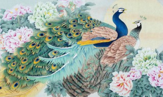 孔雀图什么人不能挂 十大最旺家的玄关挂画