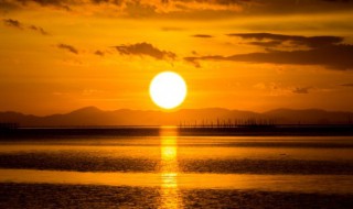 几度夕阳红小说简介 几度夕阳红是哪部小说