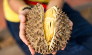 怎样挑选榴莲又香又甜 怎样挑选榴莲又香又甜的