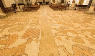 地毯茶渍如何清洗（地毯茶渍如何清洗掉）