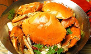 面包蟹如何清洗 面包蟹如何清洗和保存