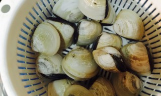 如何清洗白贝 如何清洗白贝壳视频