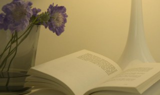 烂好人是什么意思（烂好人是什么意思怎么解释）