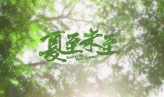 夏至未至片头曲谁唱的 夏至未至主题曲谁唱的