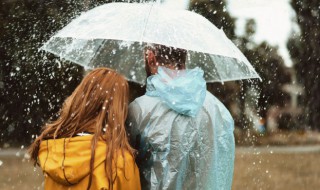 雨歌词 雨歌词江辰