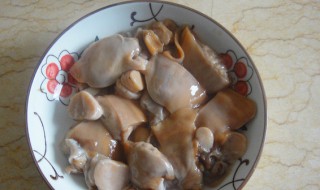 河蚌肉哪些不能吃（河蚌肉哪些不能吃图解）