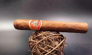 雪茄不能吸进肺里吗 雪茄不过肺能解烟瘾吗