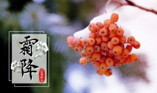 落霜歌词（落霜歌词完整版）