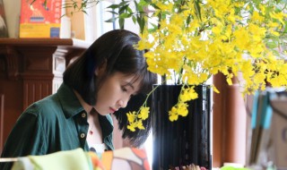 刘婉荟八月长安作品 刘婉荟为什么叫八月长安