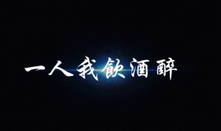 一人我饮酒醉喊麦歌词（一人饮酒醉喊麦歌词大全）