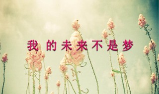 张雨生我的未来不是梦歌词 张雨生我的未来不是梦歌词意思