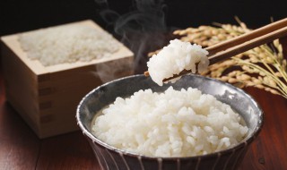 减肥米饭能吃吗 减肥米饭能吃吗会胖吗