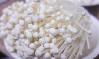 金针菇发黄还能吃吗（金针菇发黄还能吃吗 金针菇变黄能吃吗）