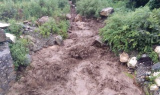 泥石流正确逃跑措施（泥石流逃跑正确方式）