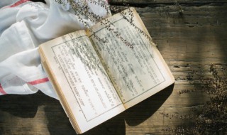 完美世界剧情概括（完美世界剧情概括详细）