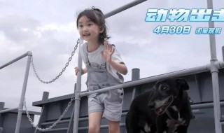 动物出击电影简介 动物出击电影剧情介绍