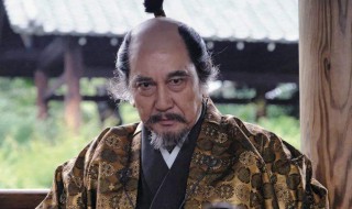 葵德川三代电视剧简介（葵德川三代茶茶）