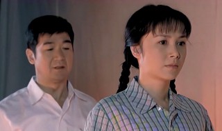 金婚电视剧简介 金婚电视剧情介绍