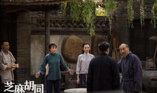 芝麻胡同电视剧简介