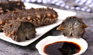 哪些人群不适合吃海参 哪些人群不适宜吃海参呢