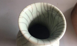 花瓶里有脏东西怎么处理 花瓶里有脏东西怎么处理掉