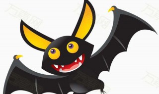 蝙蝠进屋有什么预兆