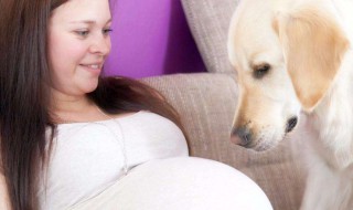 梦见生儿子（梦见生儿子是什么意思 周公解梦）