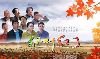 枫叶红了电视剧剧情介绍 枫叶红了电视剧全集观看大结局