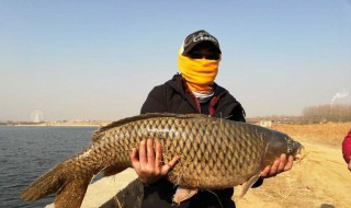 梦见钓到大鱼是什么意思 梦见钓到很多鱼