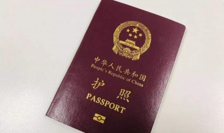 首次办理护照需要什么（广州首次办理护照需要什么）