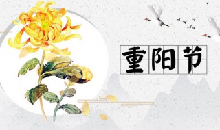 重阳节生日说说（重阳节生日发圈语句）