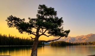 努力赚钱的说说 女人无论缺不缺钱都要努力赚钱的说说