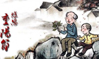 重阳节的感慨 重阳节的感慨自己年老